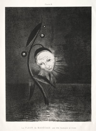 Homage to Goya: A mocsári virág, egy szomorú emberfej, 1885. alkotó: Odilon Redon