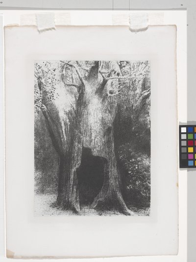 Elsüllyedtem a magányba (litográfia kínai rátétpapíron) alkotó: Odilon Redon