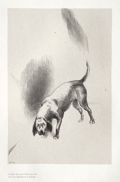 Kísértetjárta ház: Rám szegezte tekintetét olyan furcsa pillantással, 1896. alkotó: Odilon Redon