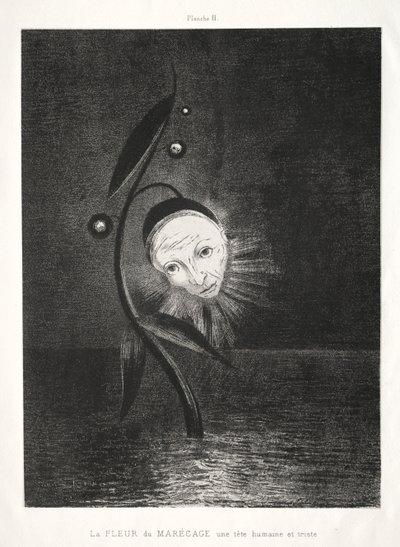 A mocsári virág, egy szomorú emberi fej alkotó: Odilon Redon