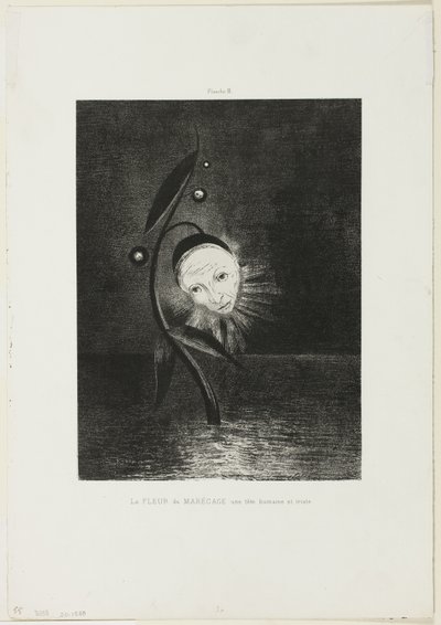 A mocsári virág, egy szomorú emberi fej, 6/2. tábla alkotó: Odilon Redon