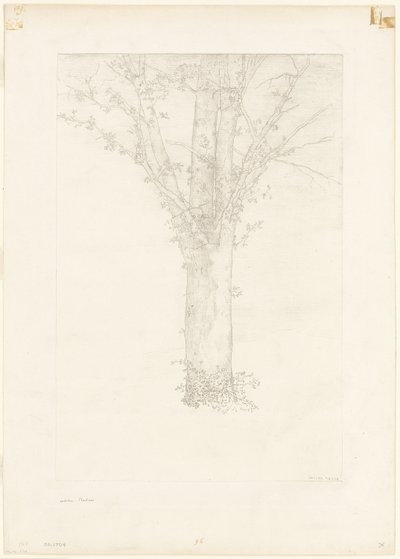 Fa alkotó: Odilon Redon