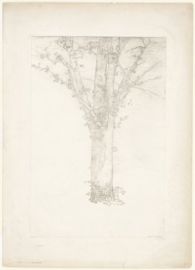 Fa alkotó: Odilon Redon