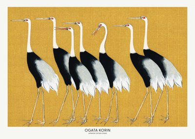 Japán vörös koronás daru alkotó: Ogata Korin