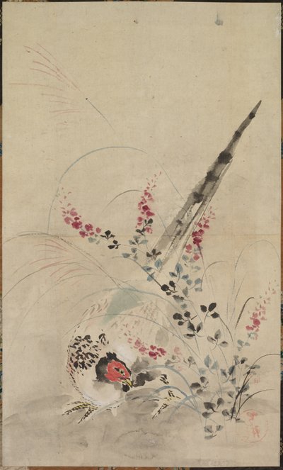 Fácán és füvek alkotó: Ogata Korin