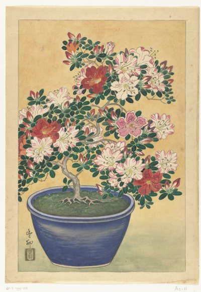 Virágzó azálea kék cserépben alkotó: Ohara Koson (signed by artist)