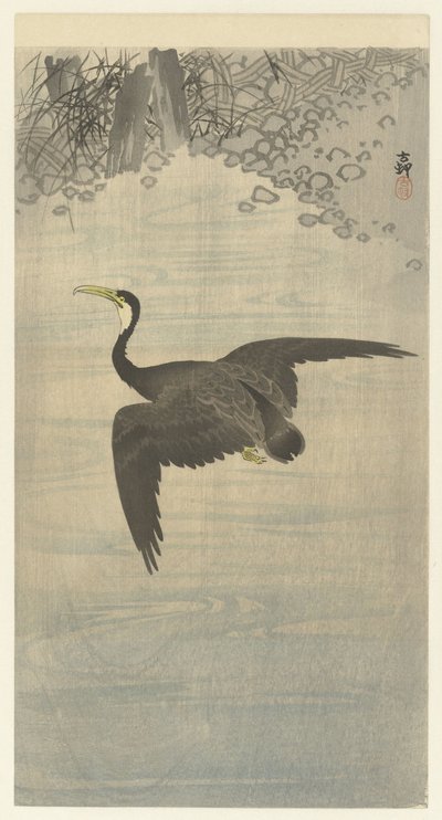 Kormorán repülés közben alkotó: Ohara Koson