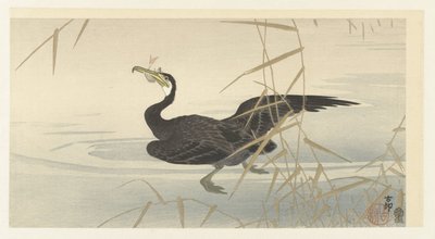Kormorán hallal alkotó: Ohara Koson