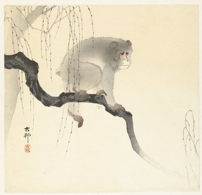 Majom a fa ágán alkotó: Ohara Koson