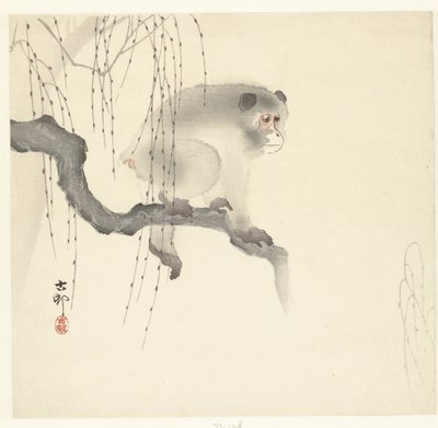 Majom a fa ágán alkotó: Ohara Koson