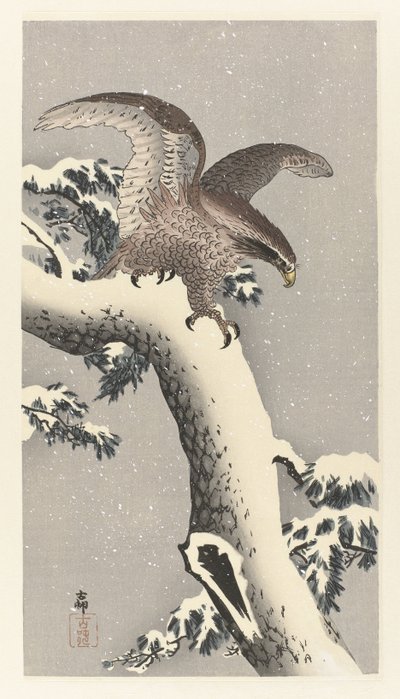 Sas a havas fenyőfán alkotó: Ohara Koson