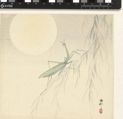 Imádkozó sáska alkotó: Ohara Koson