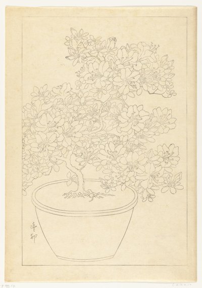 Virágzó azálea cserépben alkotó: Ohara Koson
