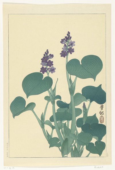 Virágzó hosta alkotó: Ohara Koson