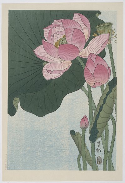 Virágzó lótuszvirág alkotó: Ohara Koson