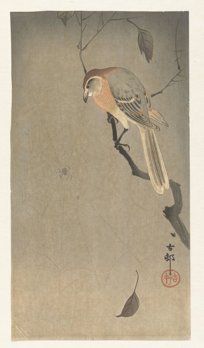Bivalyfejű sikló és pók alkotó: Ohara Koson