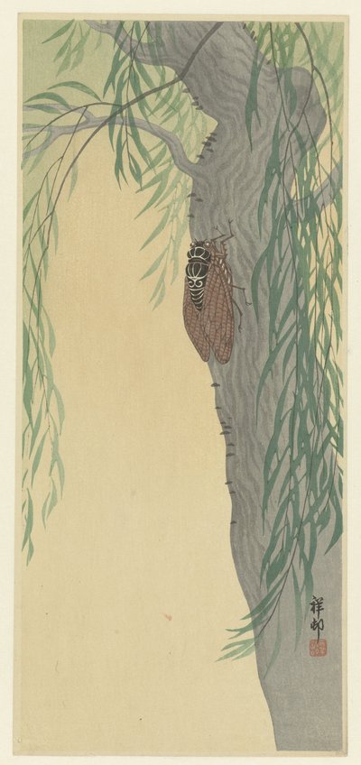 Kabóca a fán alkotó: Ohara Koson