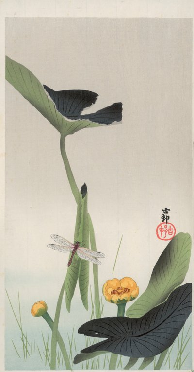 Dragonfly and Lotus (színes fatömb nyomat) alkotó: Ohara Koson