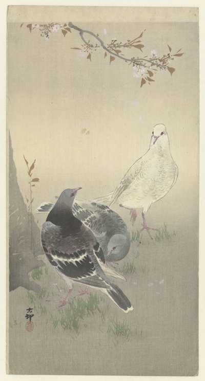 Három szelíd galamb alkotó: Ohara Koson