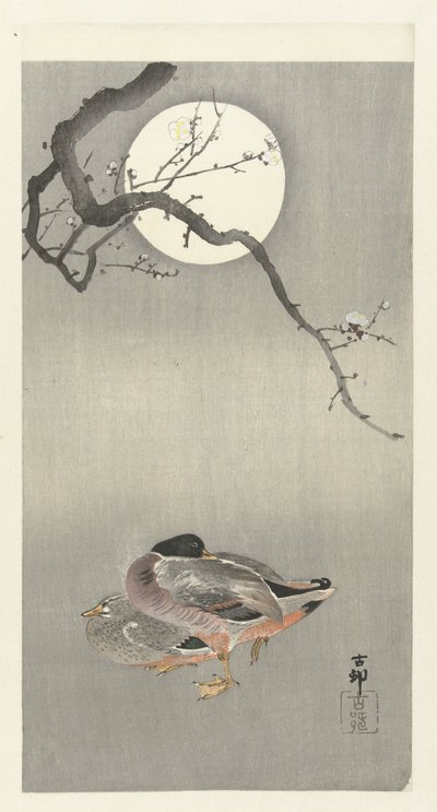 Kacsák teliholdkor alkotó: Ohara Koson