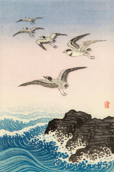 Öt sirály a tenger szikla fölött, XX. század (japán nyomtatás) alkotó: Ohara Koson