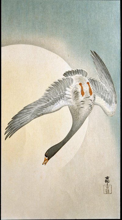 Kacsarepülés holdfényben Ohara Koson (1877-1945) xilográfiája és japán nyomatai 1908 Magángyűjtemény DR alkotó: Ohara Koson