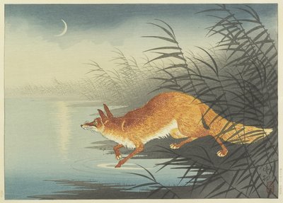 Fox by the Moonlit Water, 1930-as évek (színes fanyomat) alkotó: Ohara Koson