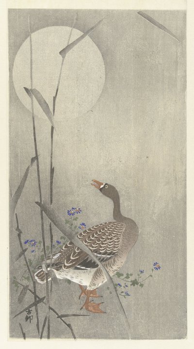 Liba teliholdkor alkotó: Ohara Koson