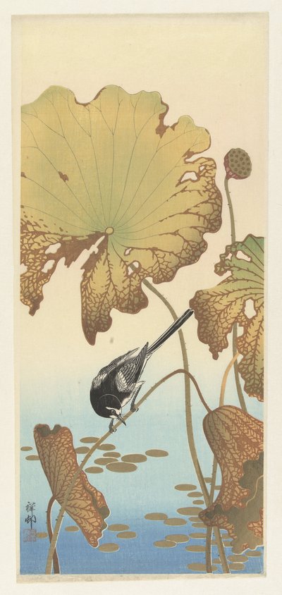 Japán wagtail lótusznövényen alkotó: Ohara Koson