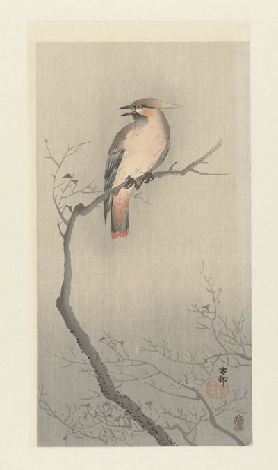 Japán viaszszárny az ágon alkotó: Ohara Koson
