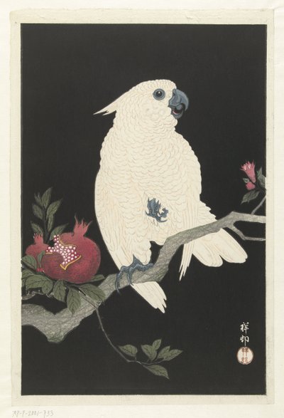 Kakadu és gránátalma alkotó: Ohara Koson
