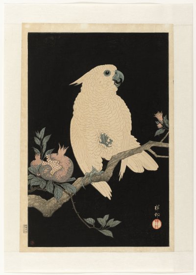 Kakadu gránátalmával alkotó: Ohara Koson