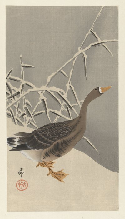 Fehérhomlokú liba a hóban alkotó: Ohara Koson