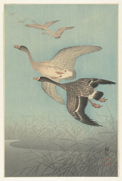 Fehérhomlokú libák repülés közben alkotó: Ohara Koson