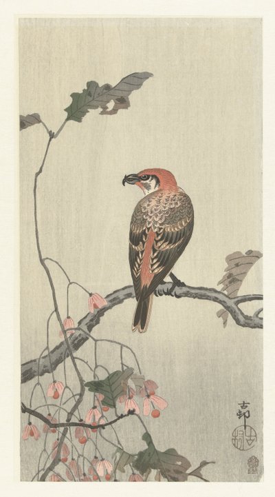 Keresztcsőrű a fa ága alkotó: Ohara Koson