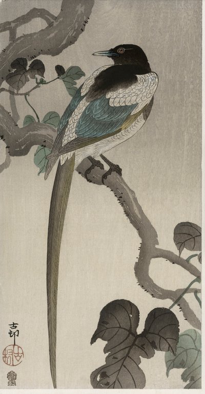 Szarka egy pauwolnai ágon (színes fatömbnyomat) alkotó: Ohara Koson