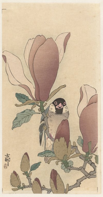 Veréb a virágzó magnólia ágon alkotó: Ohara Koson
