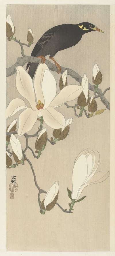Myna a Magnólia ágon alkotó: Ohara Koson