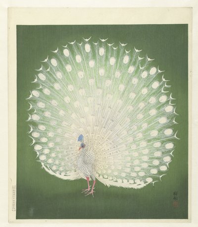 Páva alkotó: Ohara Koson