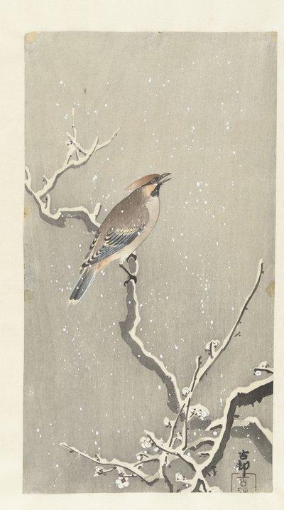 Viaszszárny a havas ágon alkotó: Ohara Koson