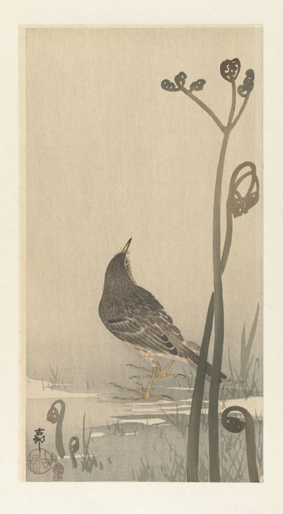 Piper a vízparton alkotó: Ohara Koson