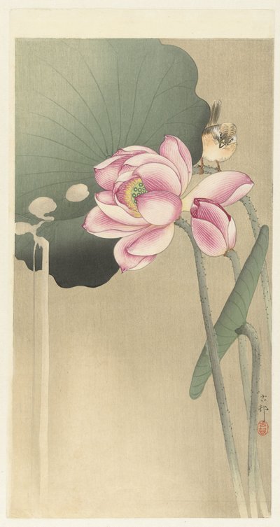 Songbird és Lotus alkotó: Ohara Koson