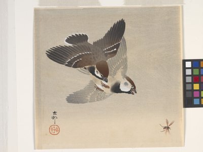 Repülő rovart kergető verebek (színes fatömbnyomat) alkotó: Ohara Koson