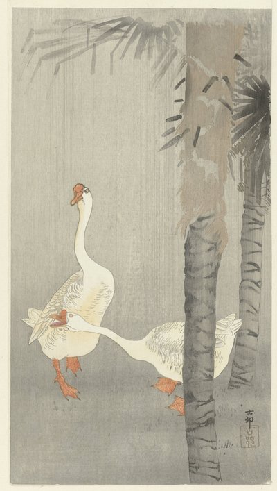 Tamme az esőben alkotó: Ohara Koson