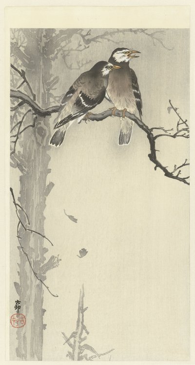 Két szürke seregély alkotó: Ohara Koson