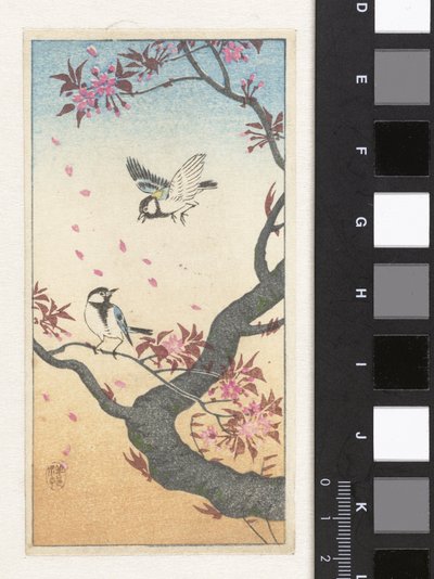 Két széncinege a virágzó fa közelében alkotó: Ohara Koson