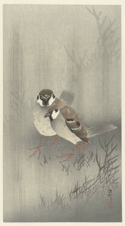 Két gyűrűs veréb az esőben alkotó: Ohara Koson