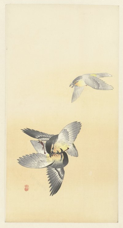 Két harci madár alkotó: Ohara Koson