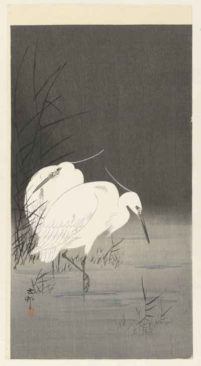 Két kócsag a nádasban alkotó: Ohara Koson