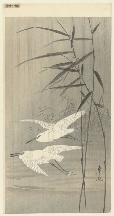 Két kócsag repül alkotó: Ohara Koson